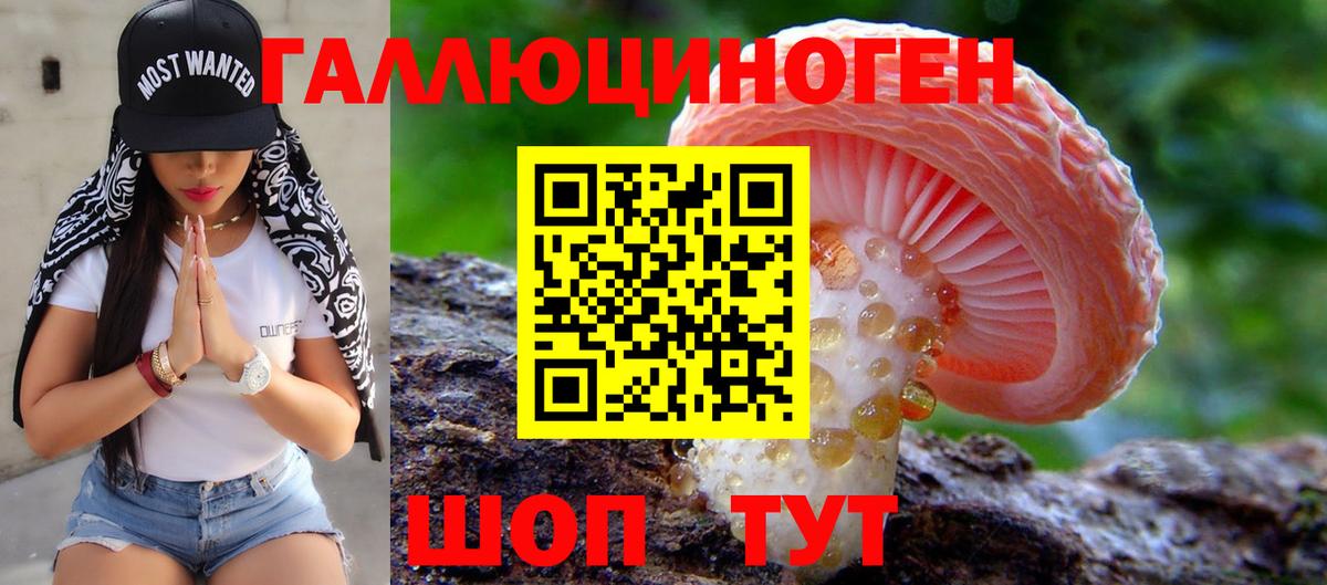 Галлюциногенные грибы ЛСД  купить закладку  Приморско-Ахтарск  Вход с VPN 
